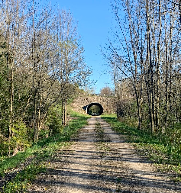 Tunnel on Bike Trail