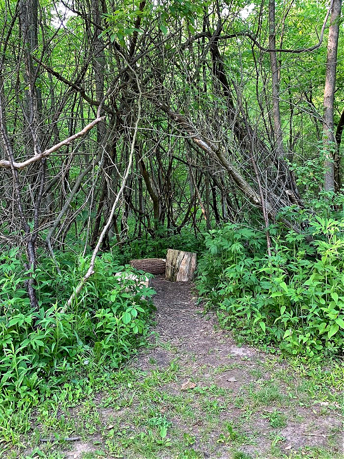 Running trail