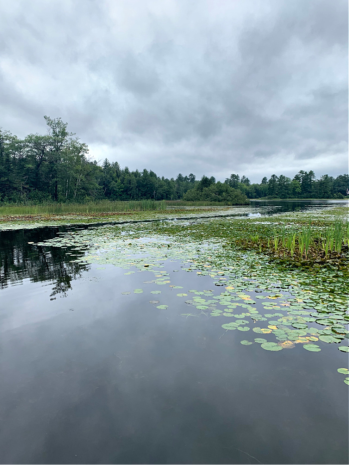 Sea Lion Lake