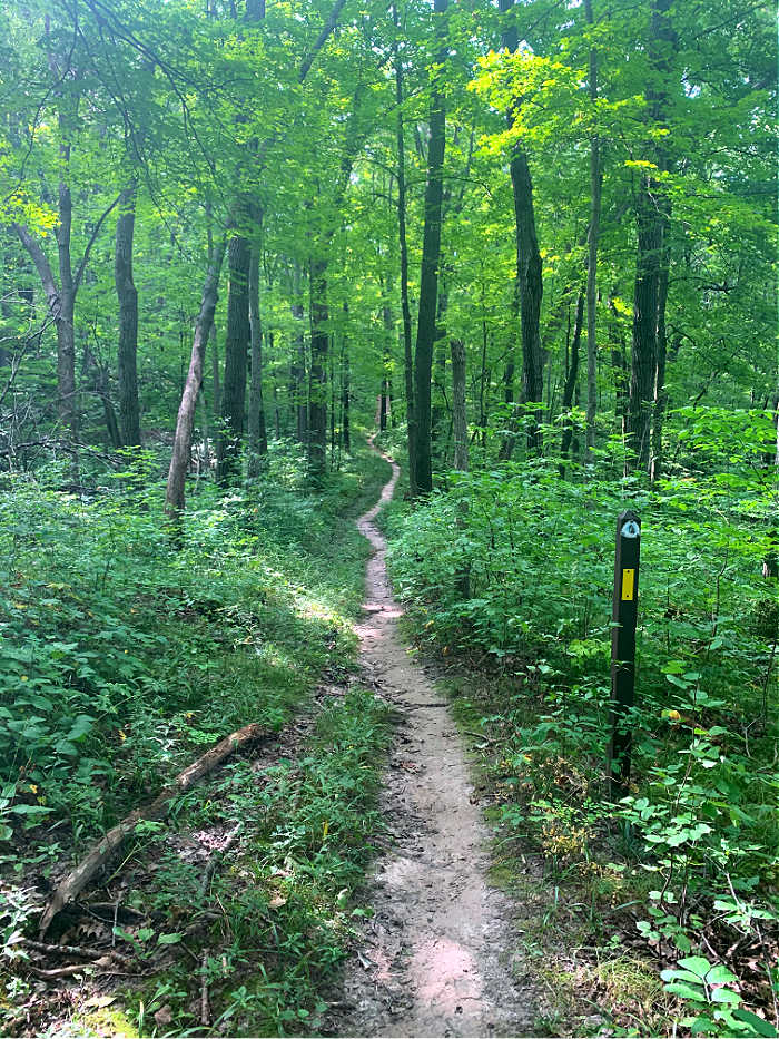 Running trail