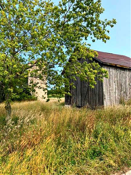 Picture of an old barn