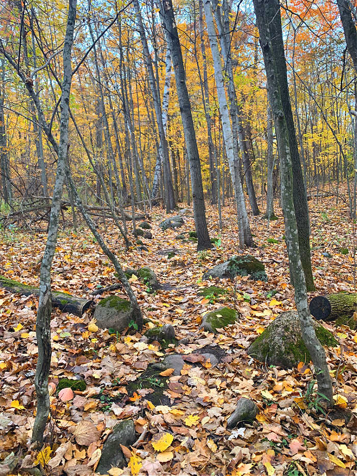 Rocky Trail