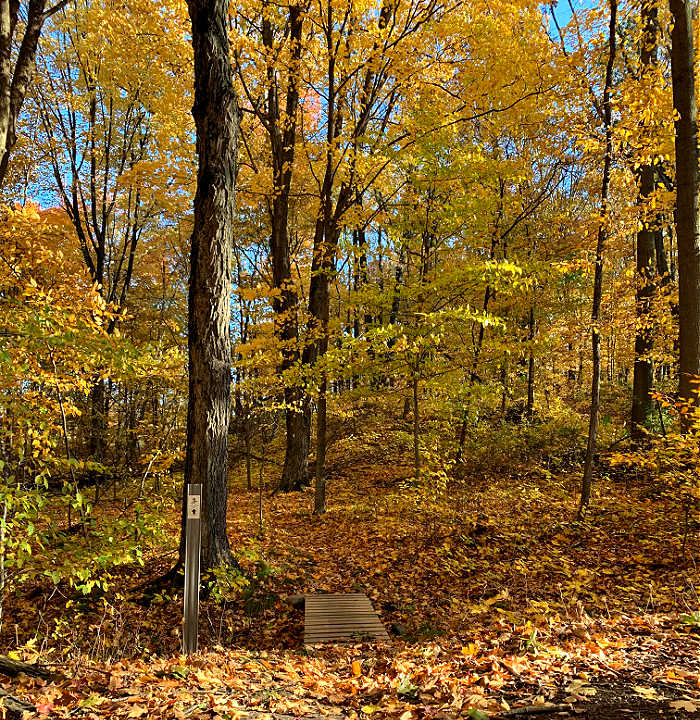 Running trail