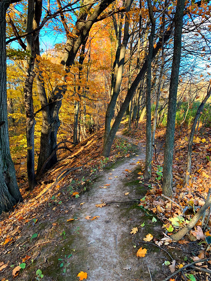 I love sale trail running