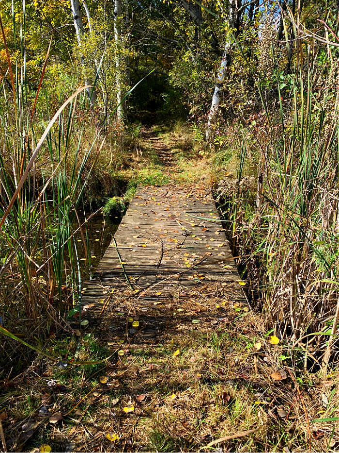 Picture of bridge