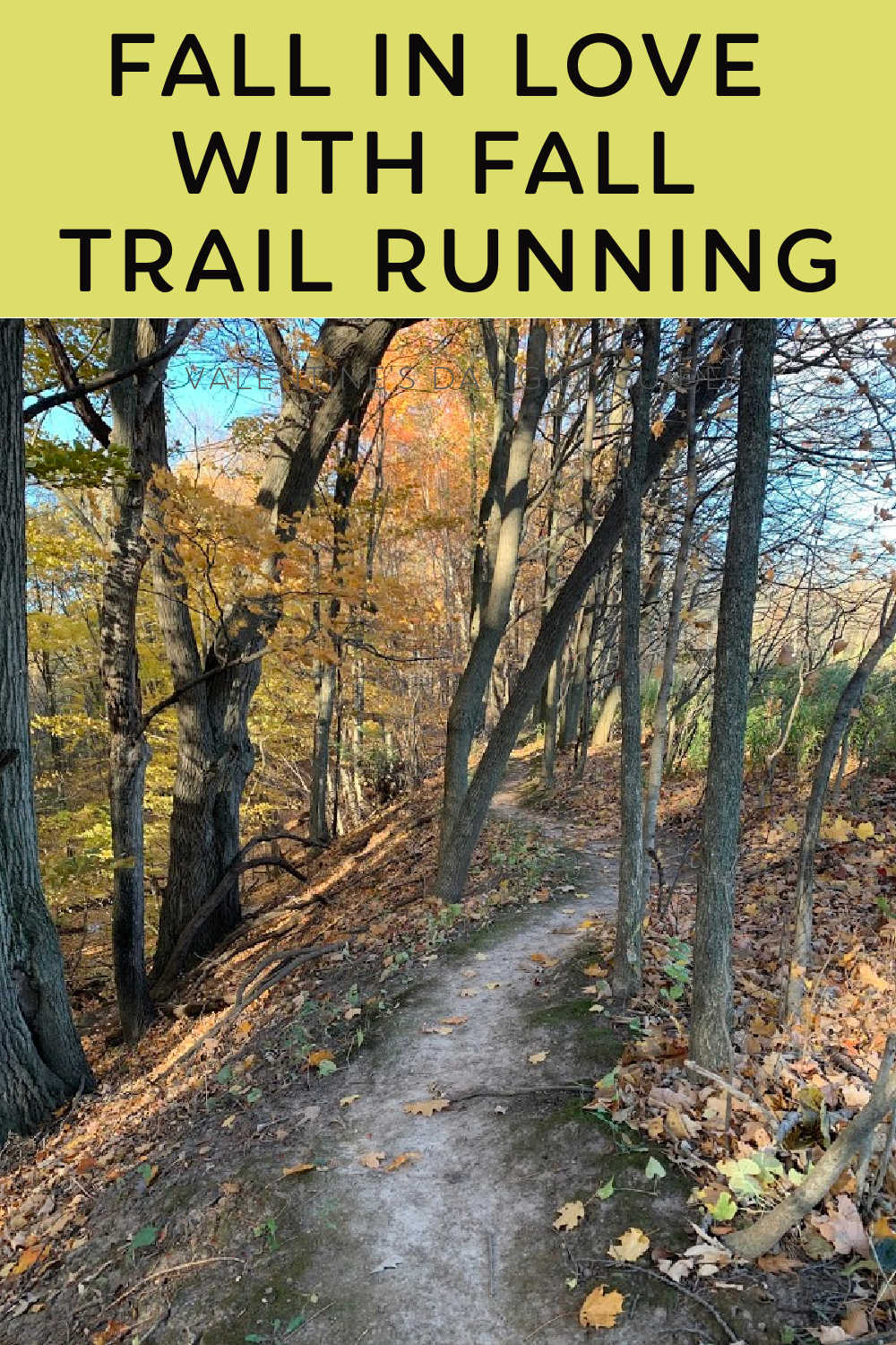 Fall in Love with Fall Trail Running