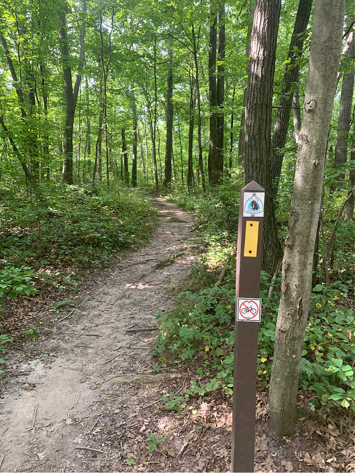 Picture of trail sign