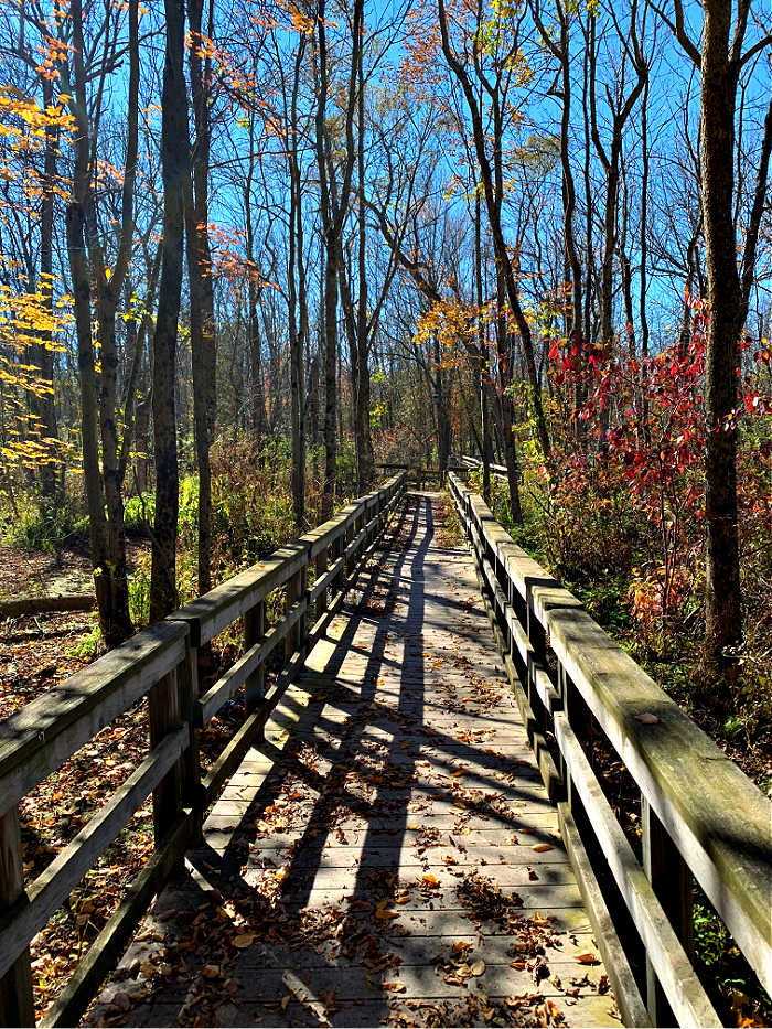 Running trail