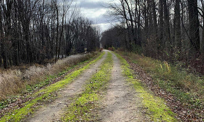 Running trail