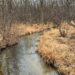 picture of creek bed