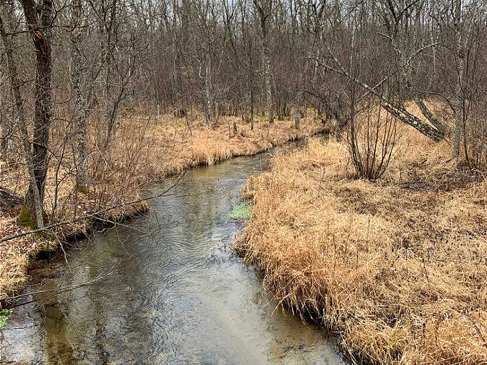 picture of creek bed