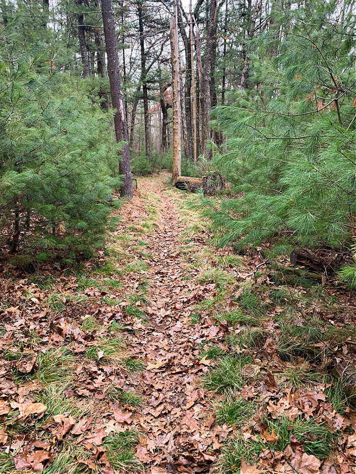 Running trail