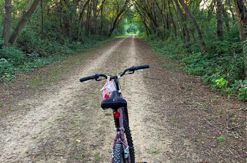Picture of a bike on a trail