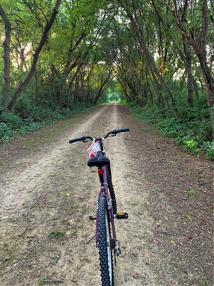 Picture of a bike on a trail