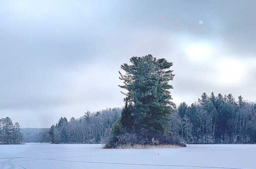 Picture of lake