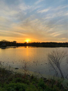 The Best Running Trails Green Bay Has to Offer