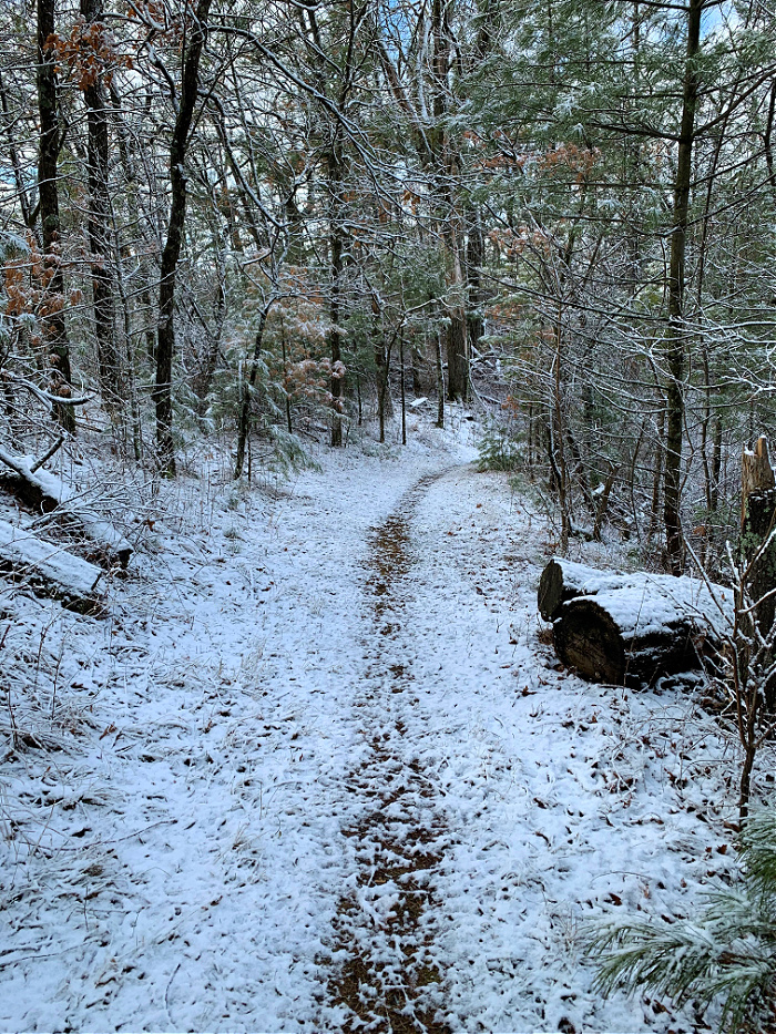 Running trail