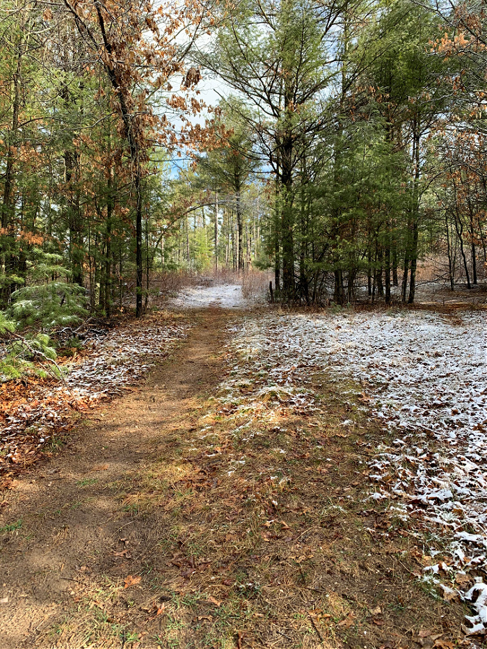 Running trail