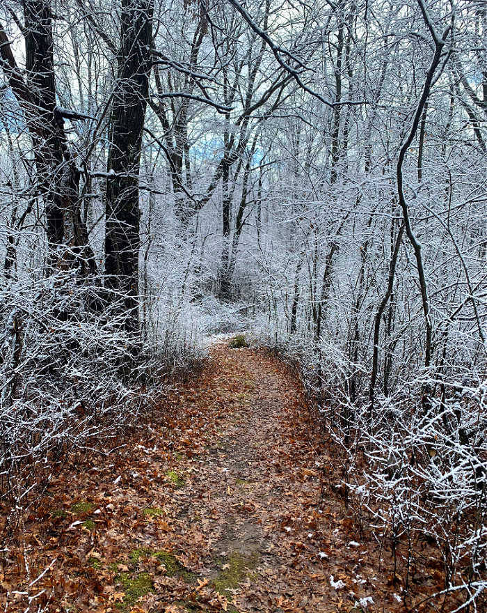 Running trail