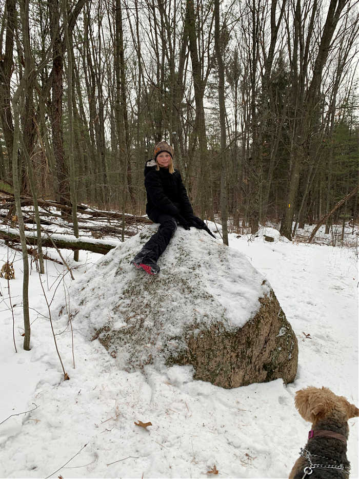 Picture of granite boulder