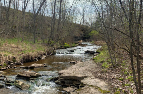Trail along a creek