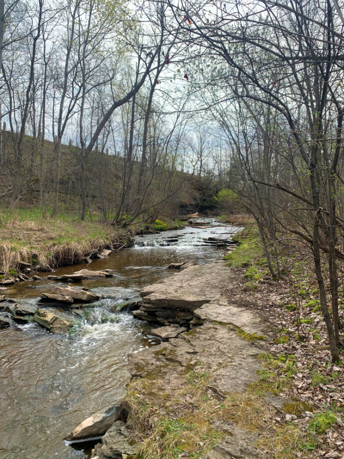 Trail along a creek