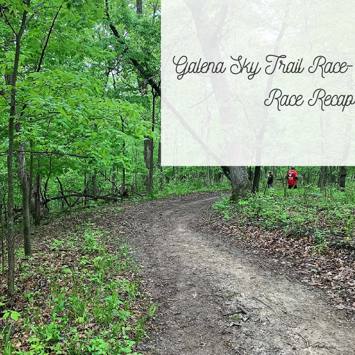 Galena Sky Trail Race Race Recap