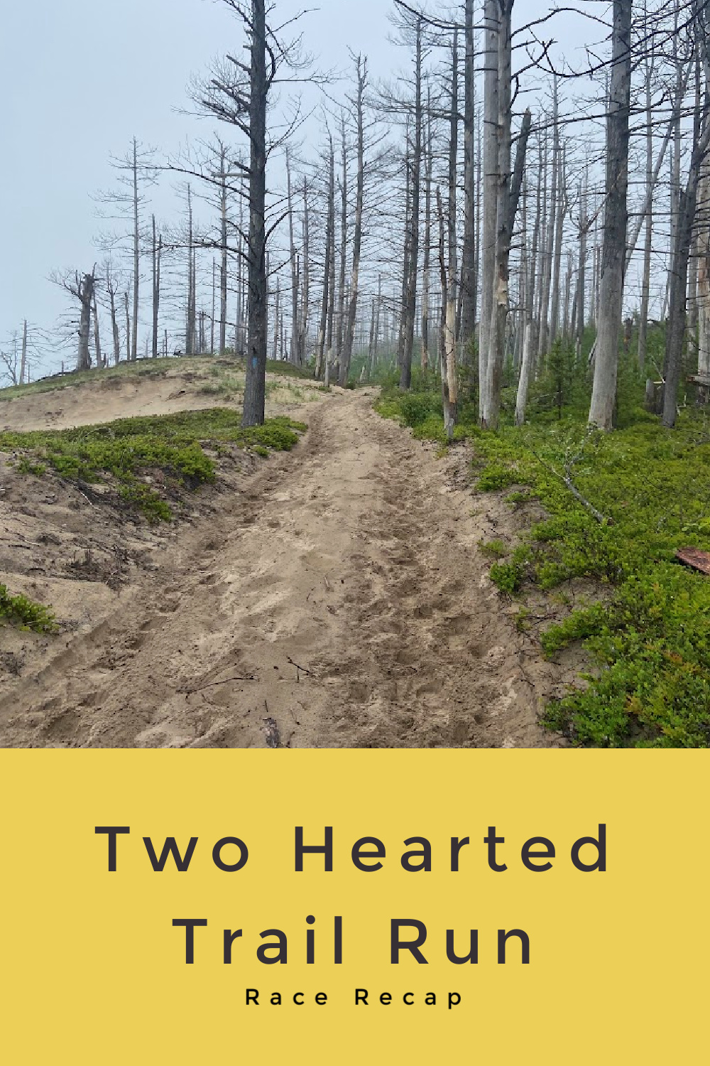 Two Hearted Trail Run 50k - Race Recap